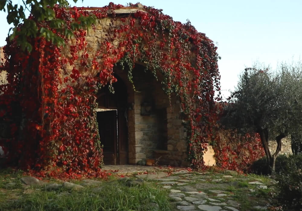 Arco in pietra ricoperto di vite americana rossa in autunno