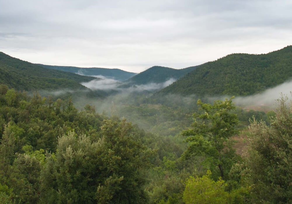 Boschi della valle di Parrano avvolti dalla nebbia del mattino